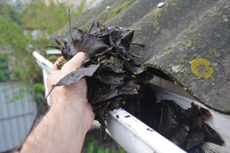 Clogged Gutter Clearing in Morris County, NJ