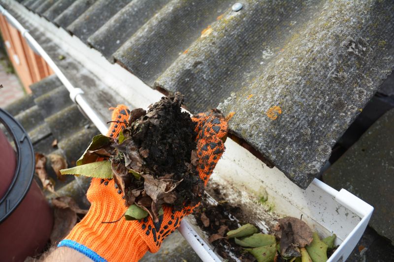 Gutter Leaves Removal in Rochester, NY