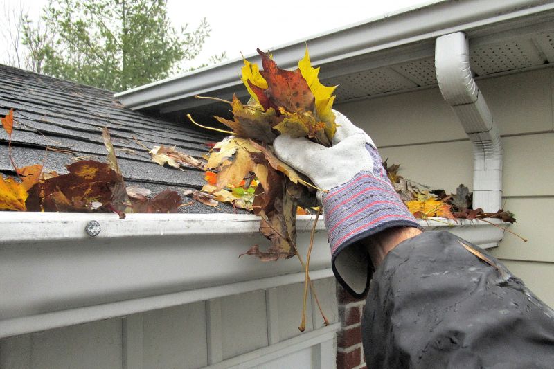 Roof Gutter Cleaning in Fredericksburg, VA