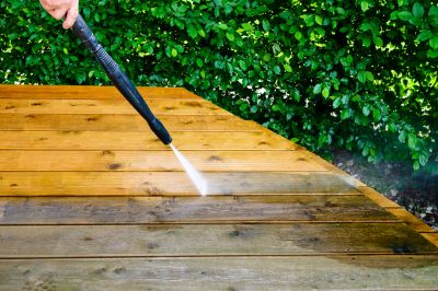 Get Your Deck Cleaned of Mold!