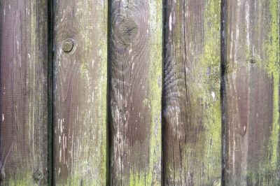 Remove Mold From Your Deck!